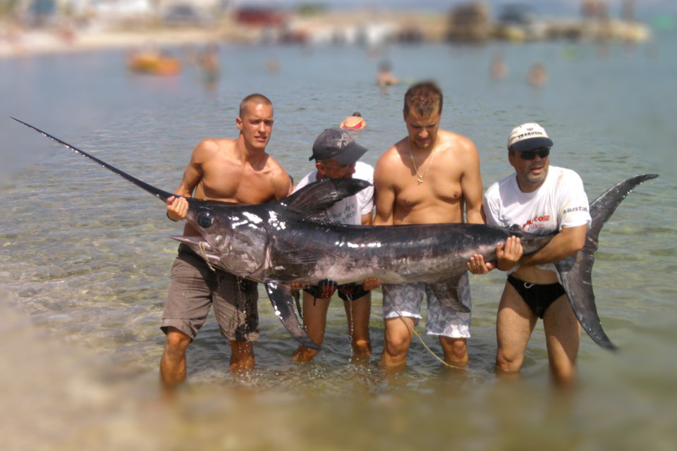 Swordfish in Croatia