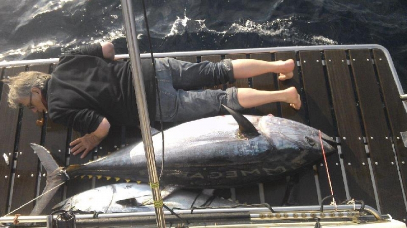 Meet the men who capture the giant fish