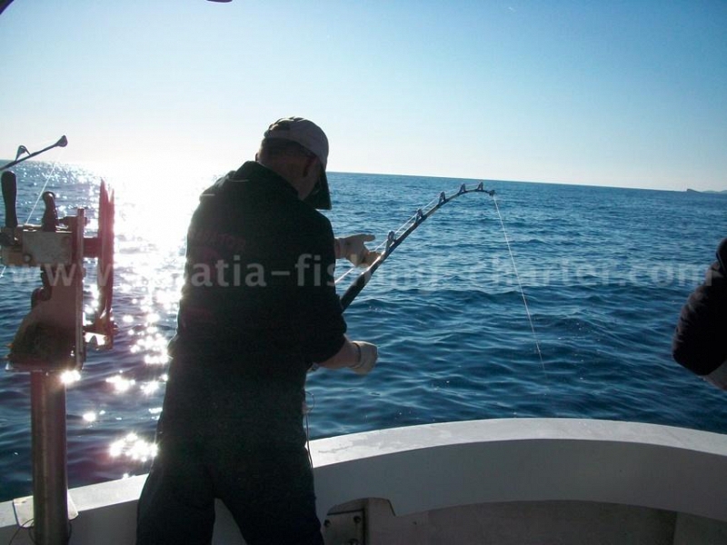 Murter Croatia Big game fishing
