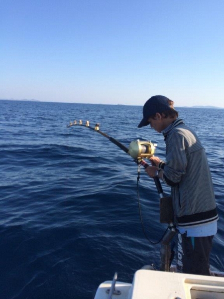 Searching for Bluefin tuna