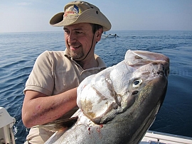 Amberjack- how to fish in Croatia