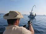 Amberjack fishing destination - Croatia