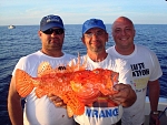 Bottom fishing on island Jabuka- Croatia