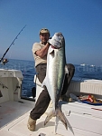 Vertical jigging Europe - Amberjack caught in Adriatic