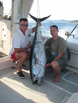 Bluefin tuna - trolling